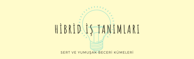 Hibrid İş Tanımları